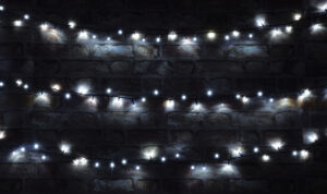 Multi-Sequence LED Indoor/Sheltered Outdoor String Lights with 24-Hour Auto-Timer - Cool White