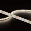 24V High Output LED Tape - 5m Reel - Image 3