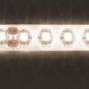 24V High Output LED Tape - 5m Reel - Image 4