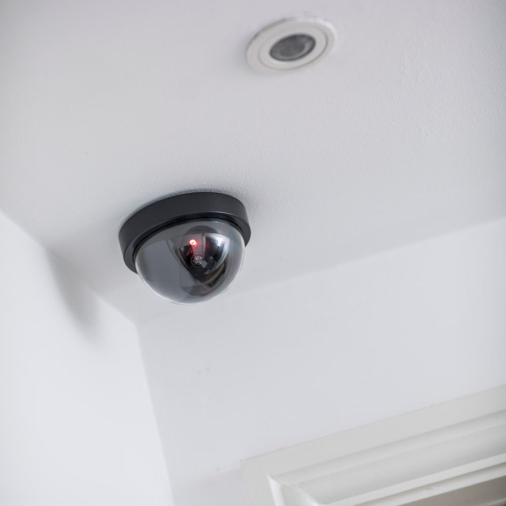 Mercury Dummy Dome Camera - Image 2