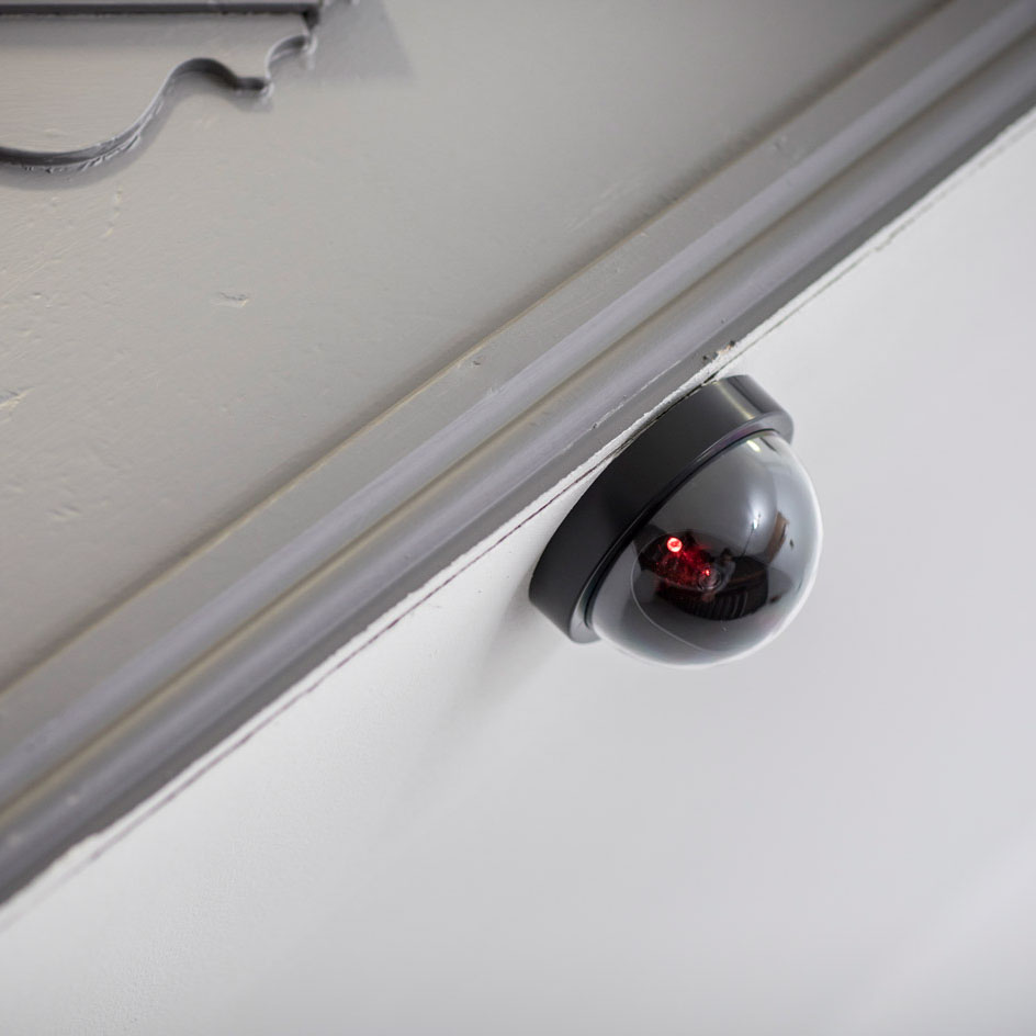 Mercury Dummy Dome Camera - Image 3