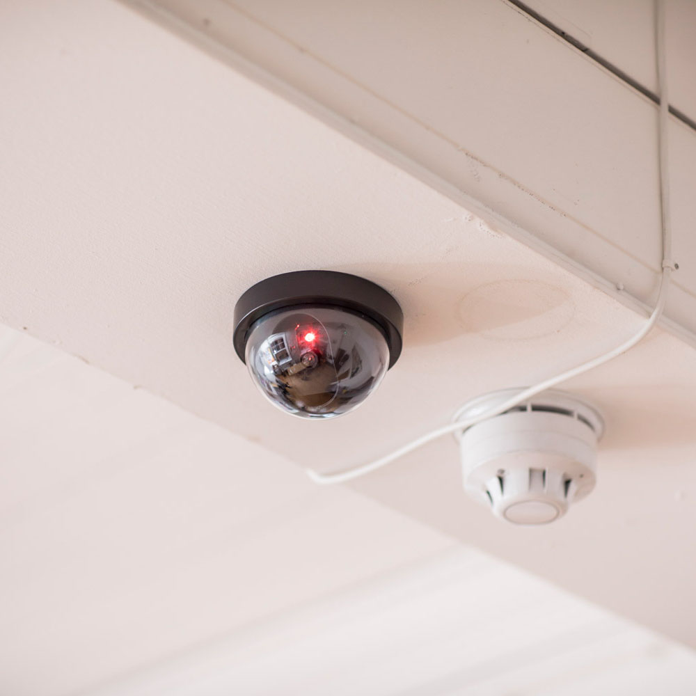 Mercury Dummy Dome Camera - Image 4