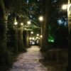 25m ES Festoon, 1m Spacing with 16A Plug and Socket - Image 2