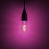 4W LED T45 Funky Spiral Filament Lamp ES, Pink - Image 3