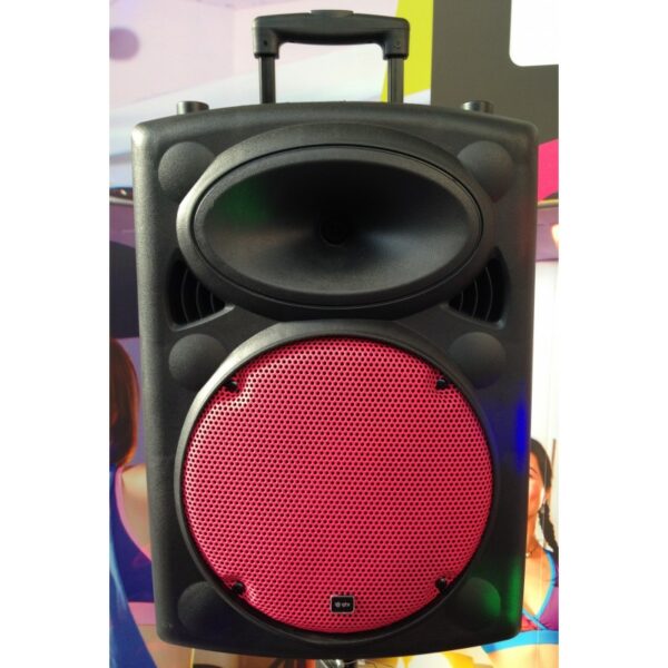 QR10 100w PA System with Headset - Pink