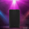 Citronic CASA-10 10" Passive Full Range PA Speaker 200w - Image 6