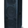 Wharfedale Pro- Delta-X215 15" Dual 2-Way Passive Speaker - Image 2