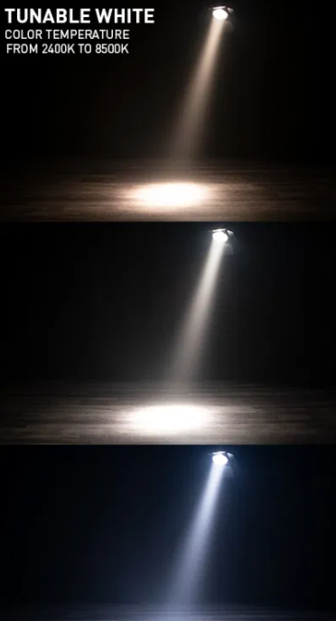 ADJ Encore FR Pro Color - Image 4