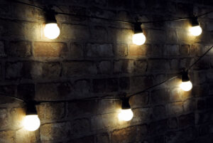 Festoon