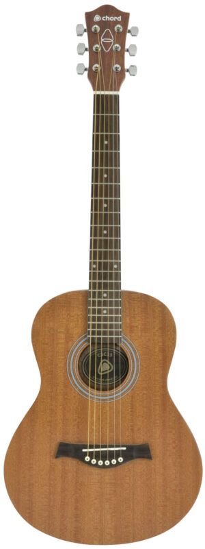 Acoustic Guitars