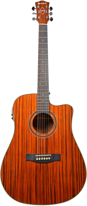 Electro Acoustic Guitars